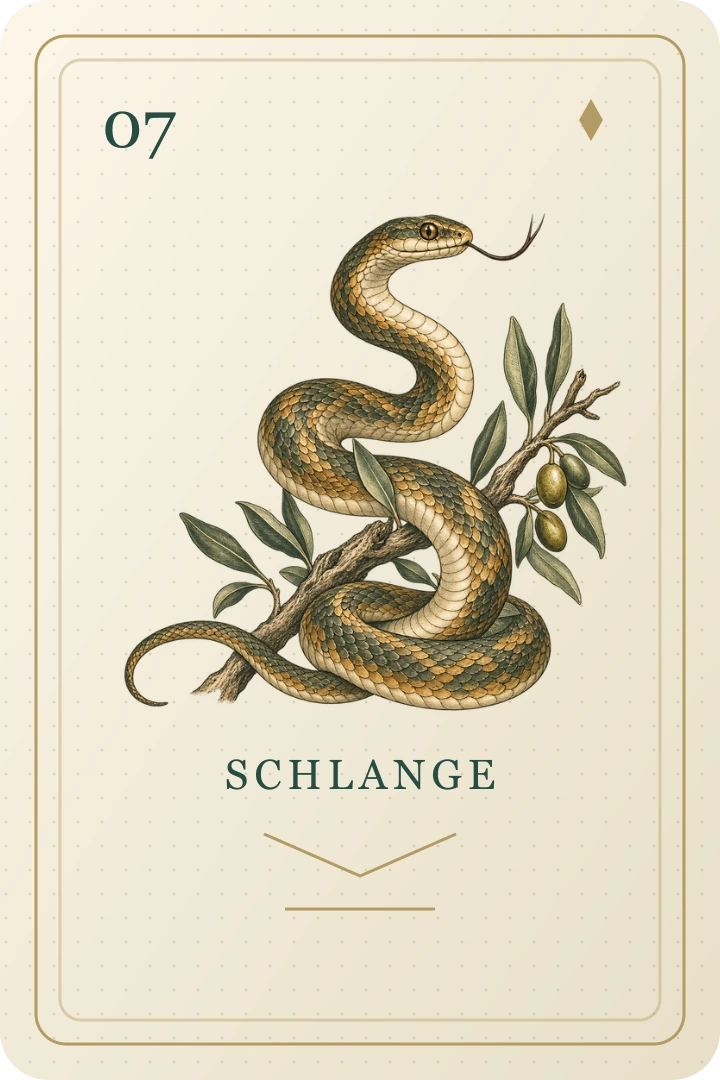Schlange