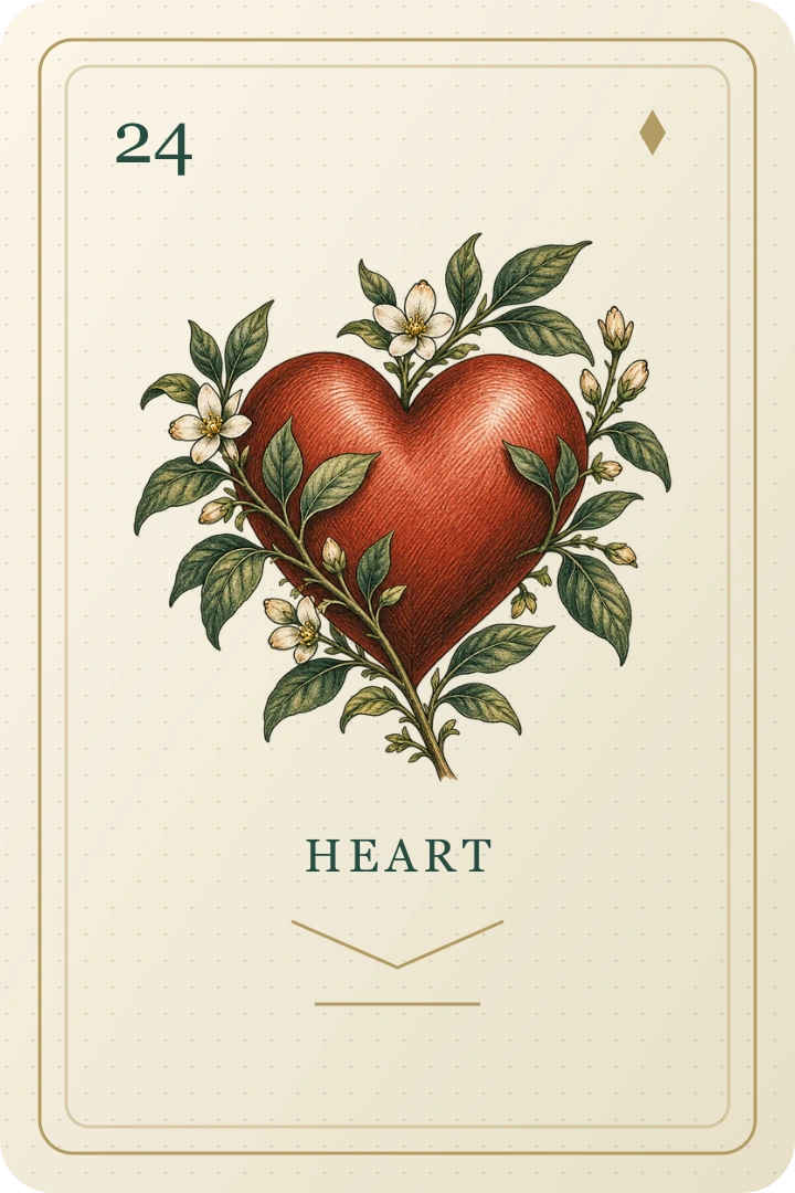 Heart