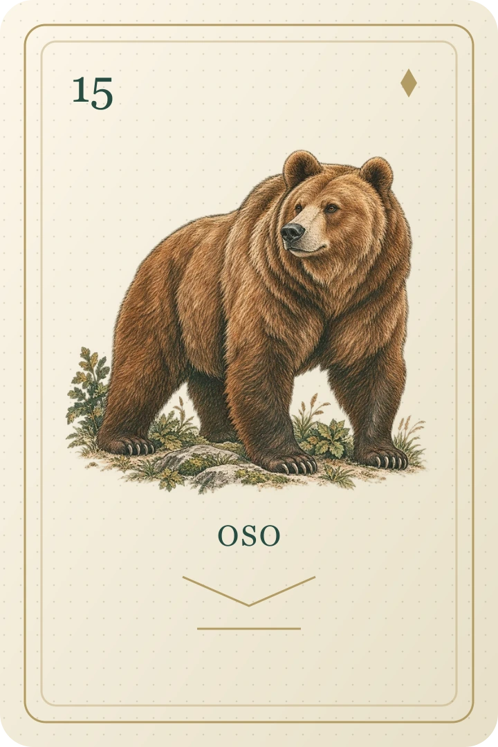 Oso