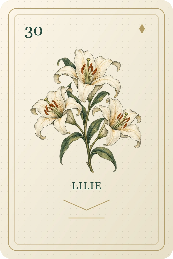 Lilie