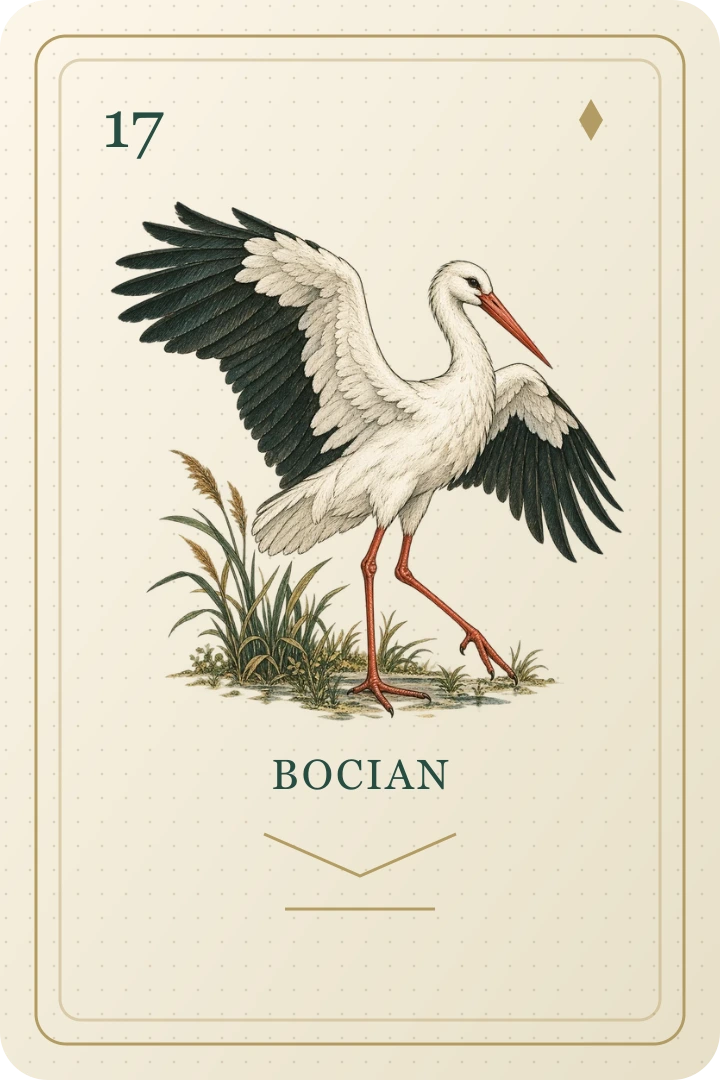 Bocian