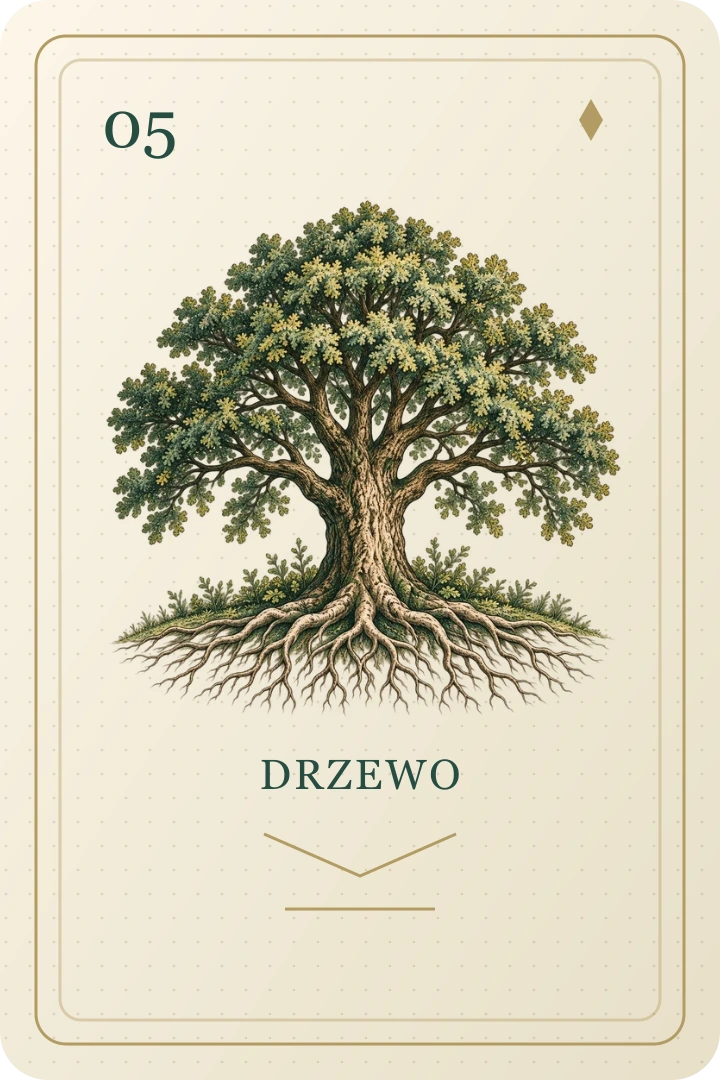 Drzewo
